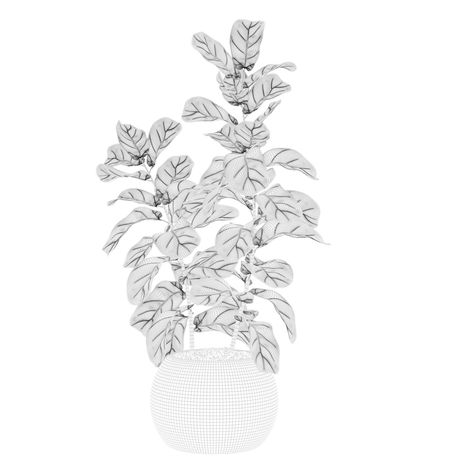 Ficus Lyrata in black felt pot 3D model_52