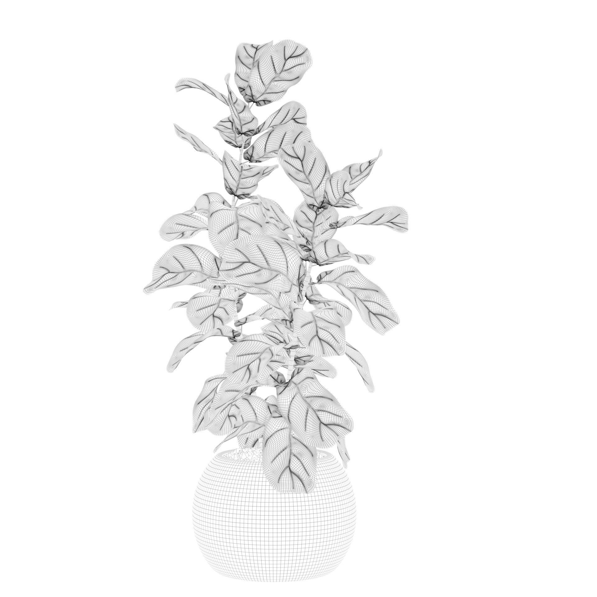 Ficus Lyrata in black felt pot 3D model_73