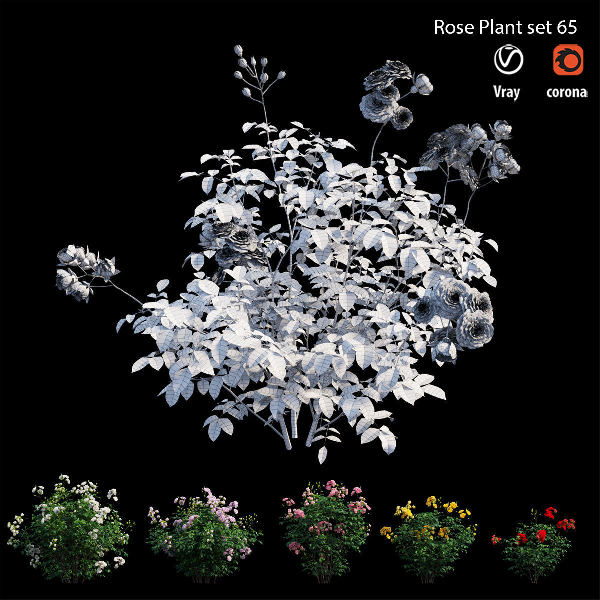 Rose plant set 65 3D model_5