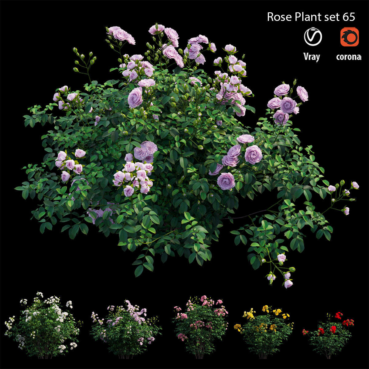 Rose plant set 65 3D model_1