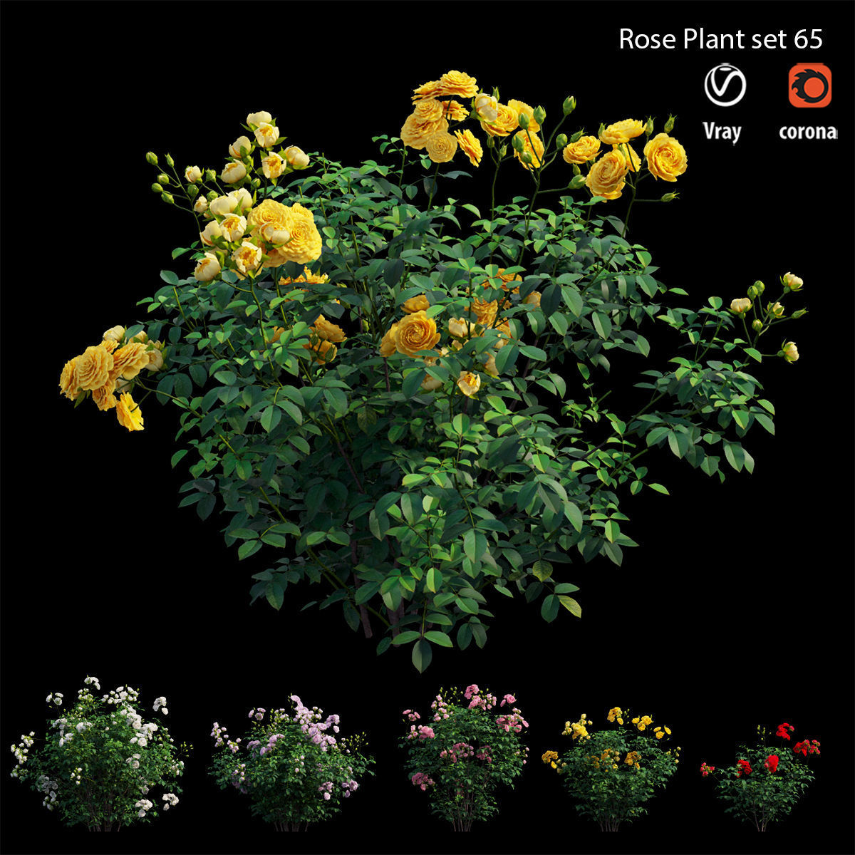 Rose plant set 65 3D model_3