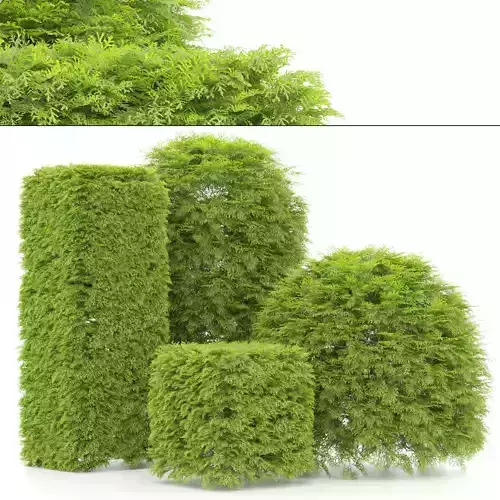 shaped Bush plants V02 3D model