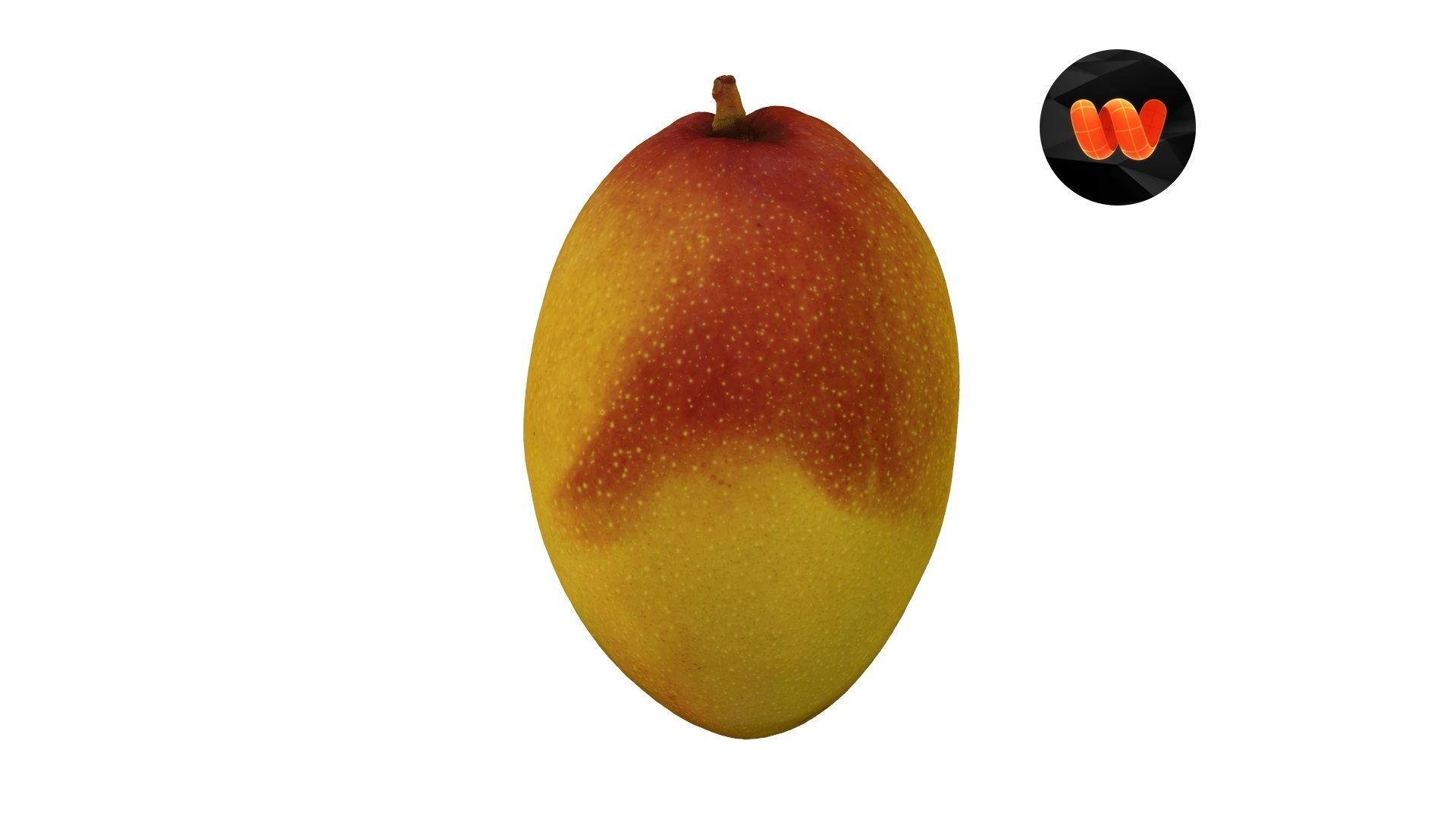 Mango Extreme Definition Scanned 3D model CGTrader