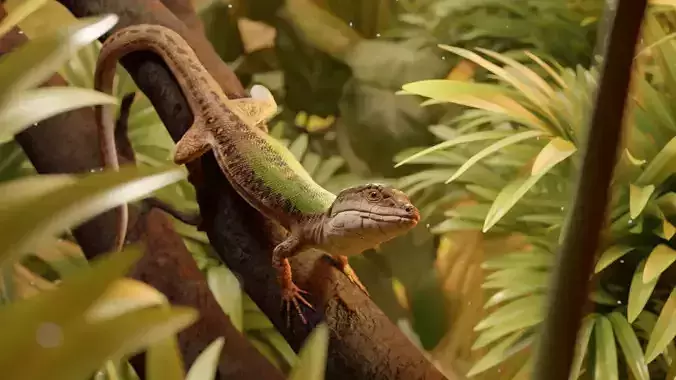 Green Lizard - Podarcis Sicula HQ Low-poly 3D model