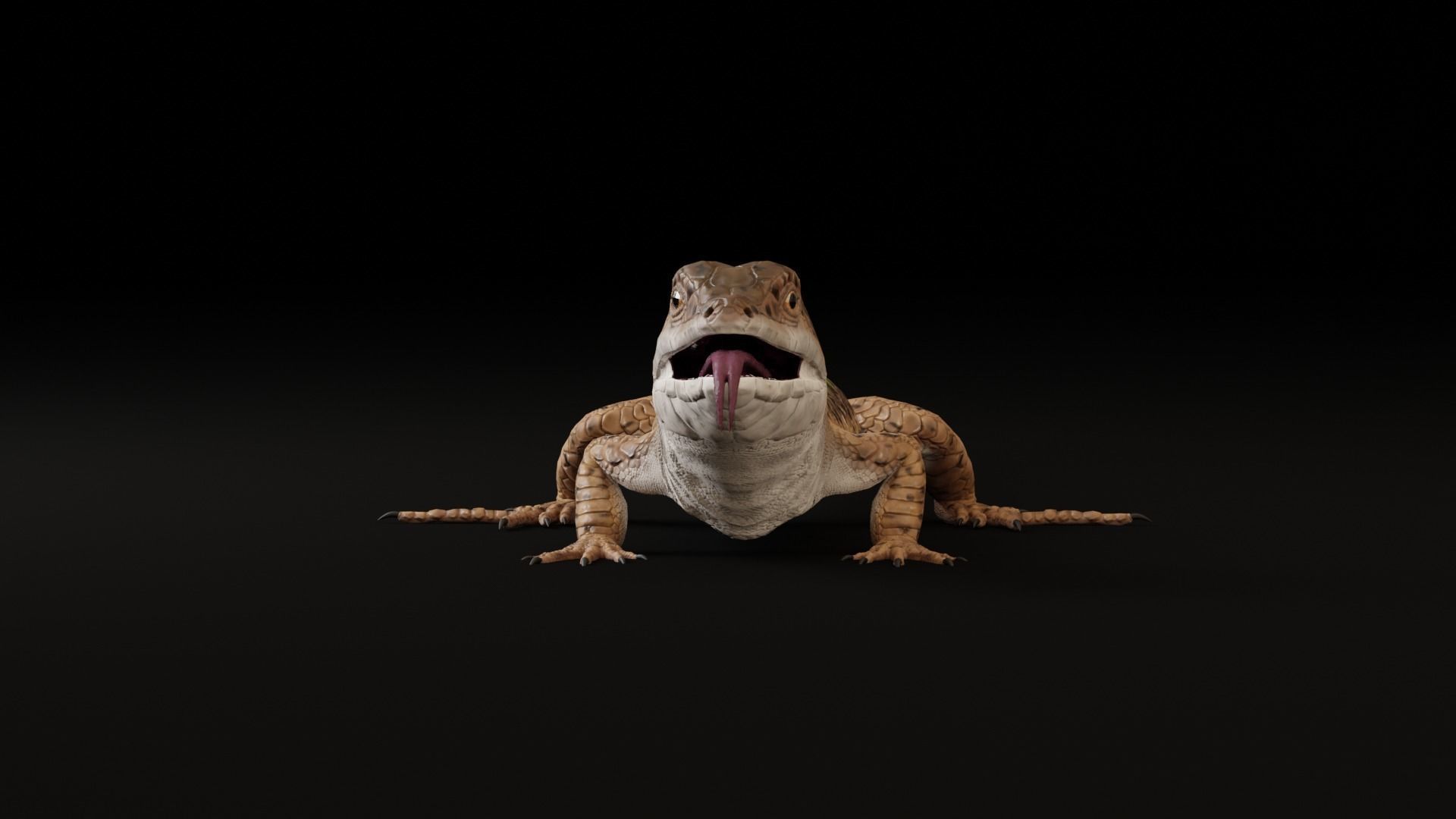 Green Lizard - Podarcis Sicula HQ Low-poly 3D model_14