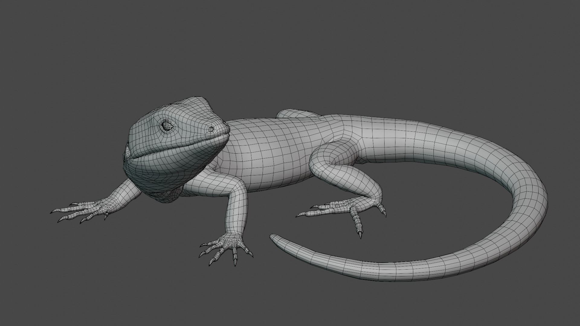 Green Lizard - Podarcis Sicula HQ Low-poly 3D model_5