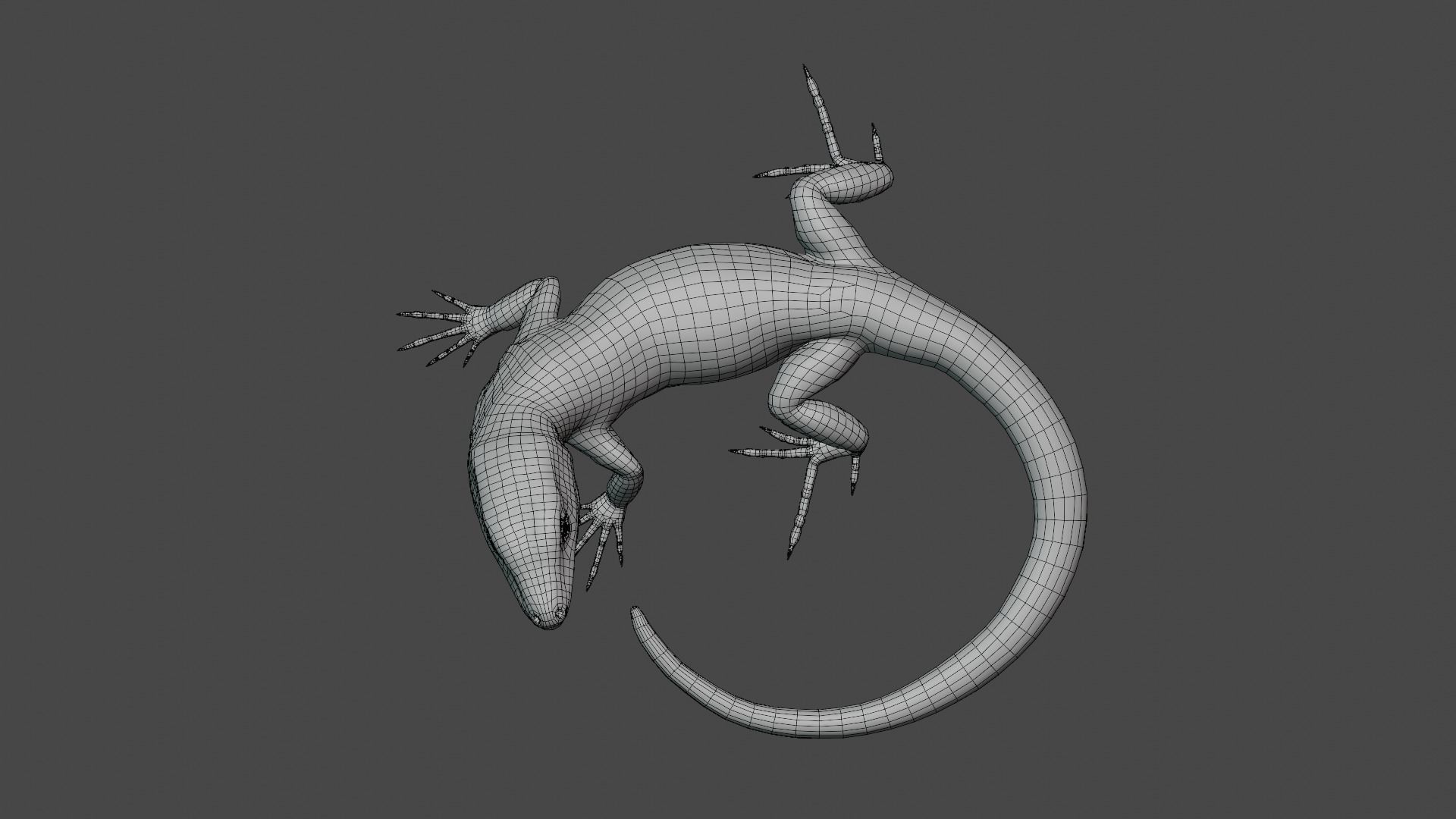 Green Lizard - Podarcis Sicula HQ Low-poly 3D model_7