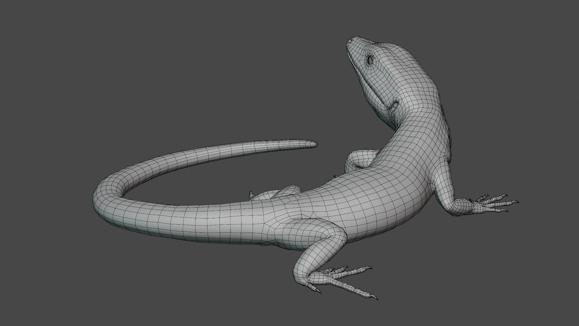 Green Lizard - Podarcis Sicula HQ Low-poly 3D model_9