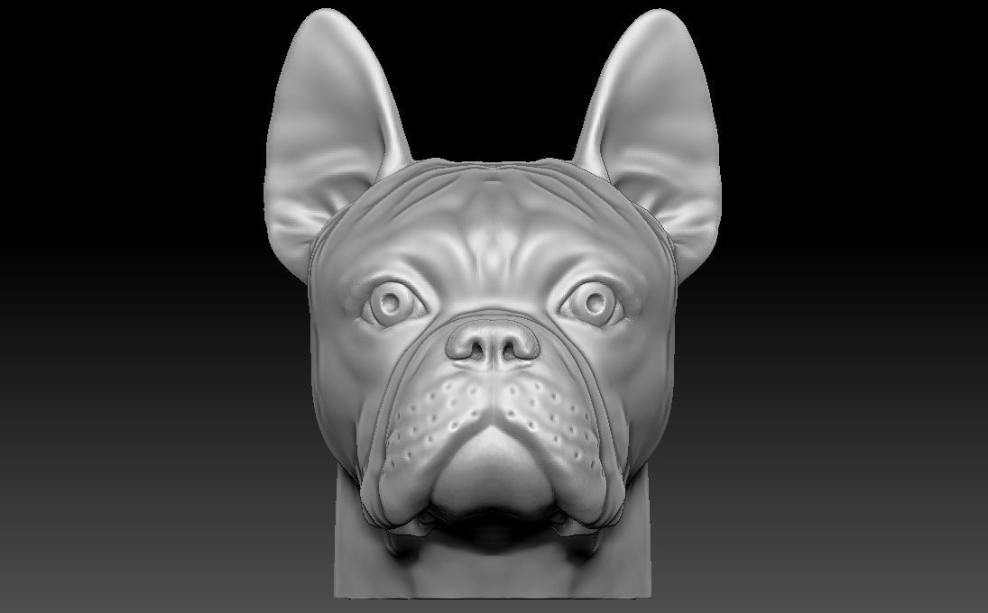French Bulldog head for 3D printing 3D print model_4