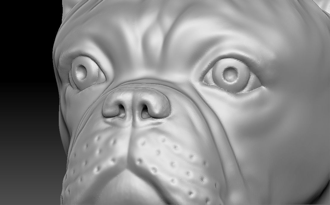 French Bulldog head for 3D printing 3D print model_13