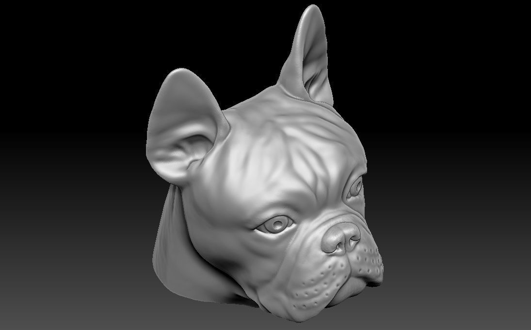 French Bulldog head for 3D printing 3D print model_16