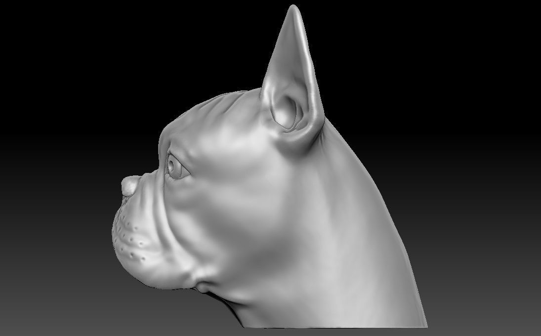 French Bulldog head for 3D printing 3D print model_3