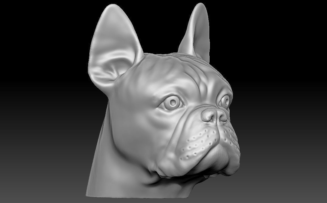 French Bulldog head for 3D printing 3D print model_6