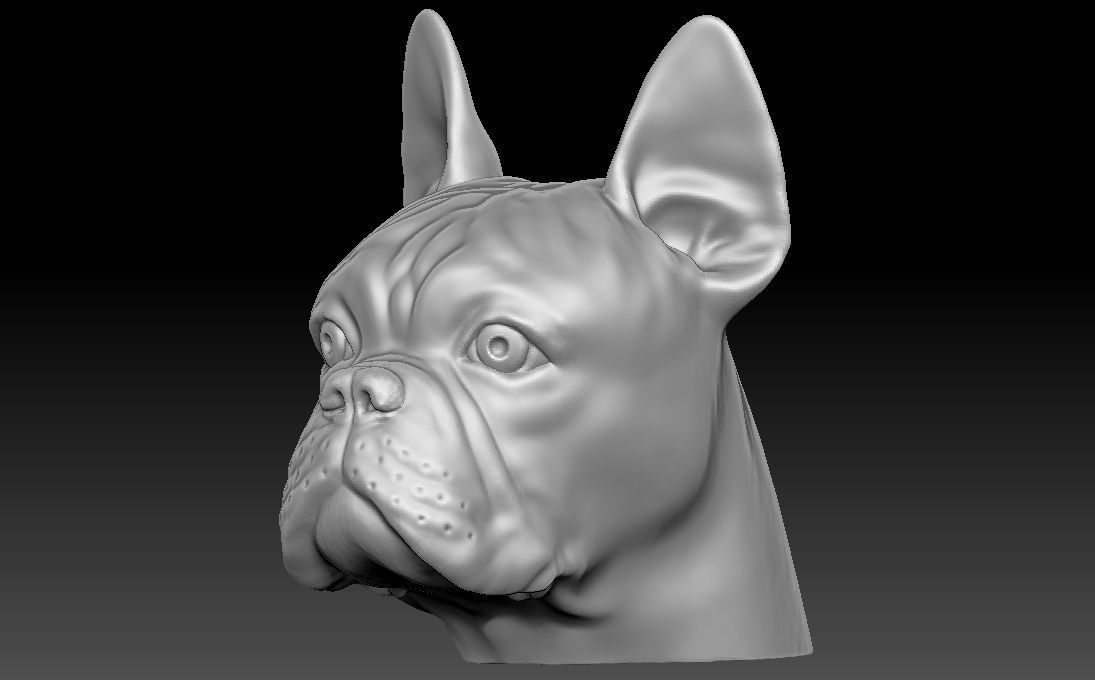 French Bulldog head for 3D printing 3D print model_1