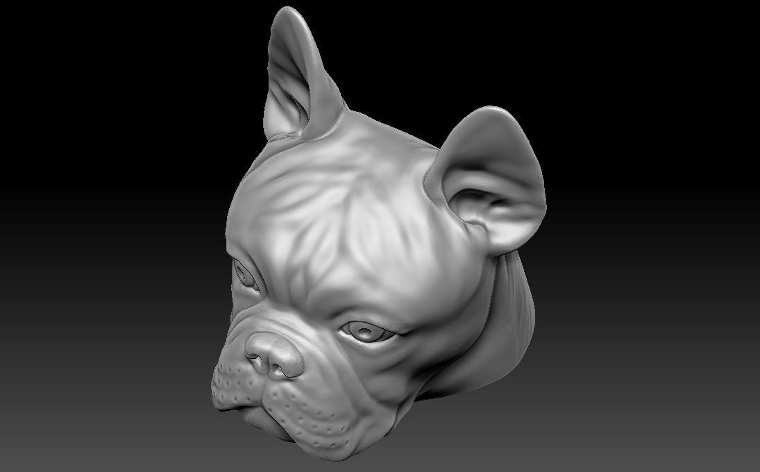 French Bulldog head for 3D printing 3D print model_18