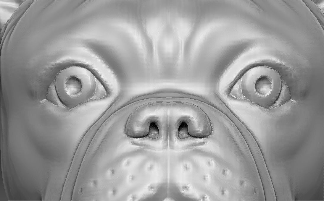 French Bulldog head for 3D printing 3D print model_14