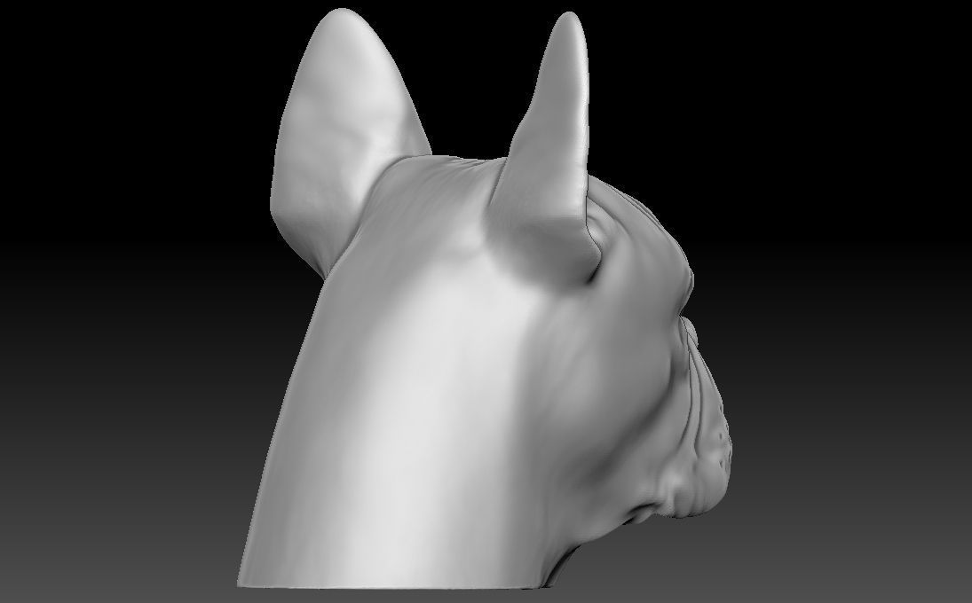 French Bulldog head for 3D printing 3D print model_10