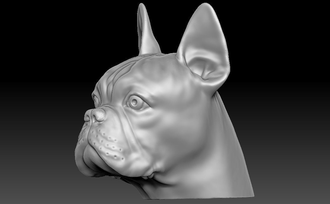 French Bulldog head for 3D printing 3D print model_2
