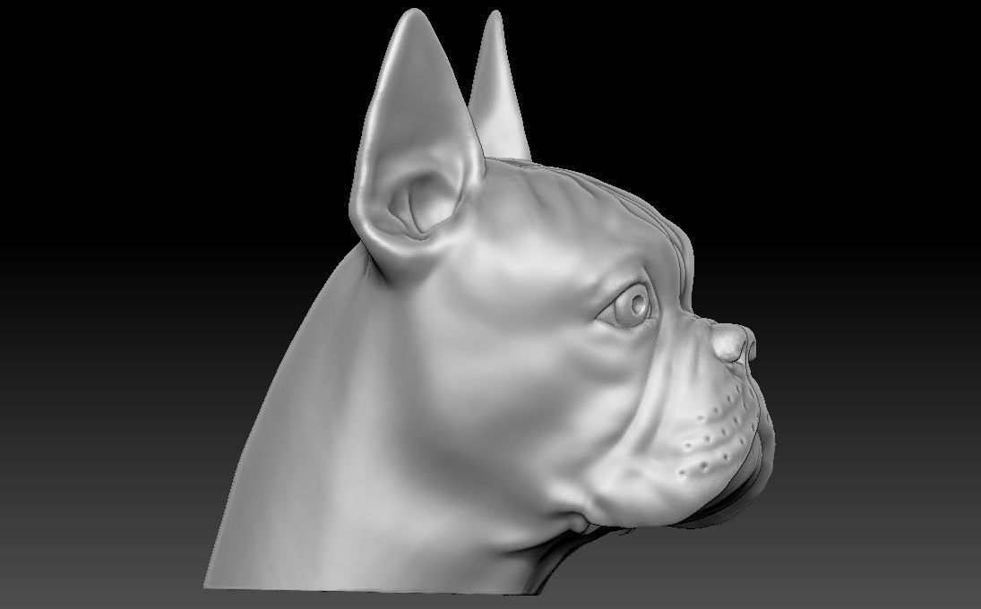 French Bulldog head for 3D printing 3D print model_8