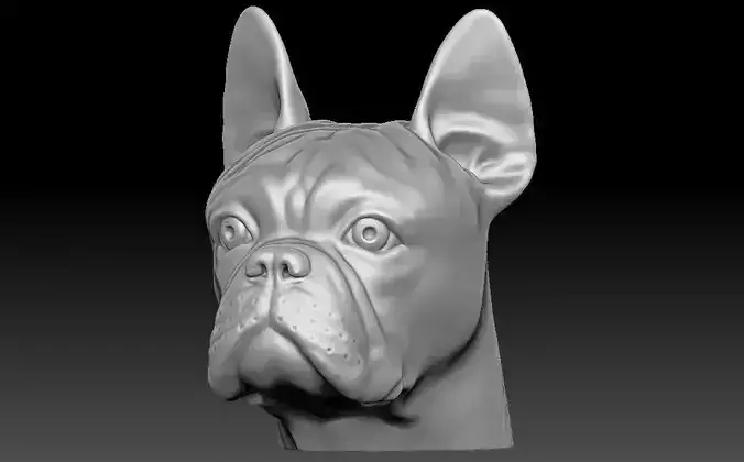 French Bulldog head for 3D printing 3D print model