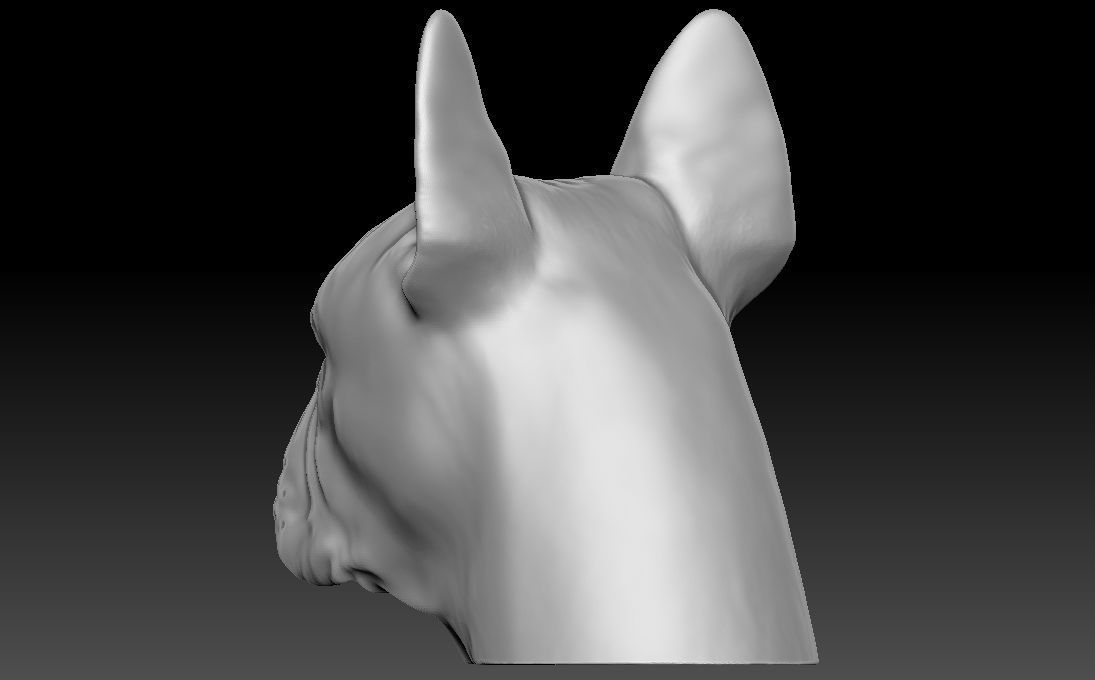 French Bulldog head for 3D printing 3D print model_12