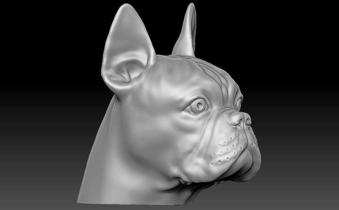 French Bulldog head for 3D printing 3D print model_7