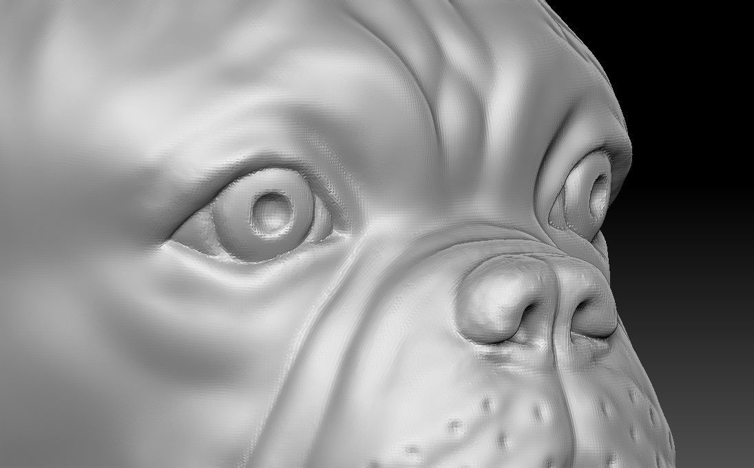 French Bulldog head for 3D printing 3D print model_15