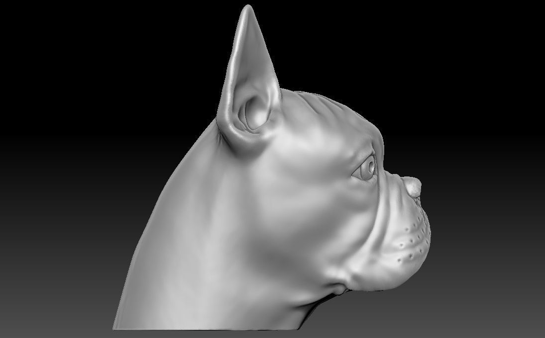French Bulldog head for 3D printing 3D print model_9