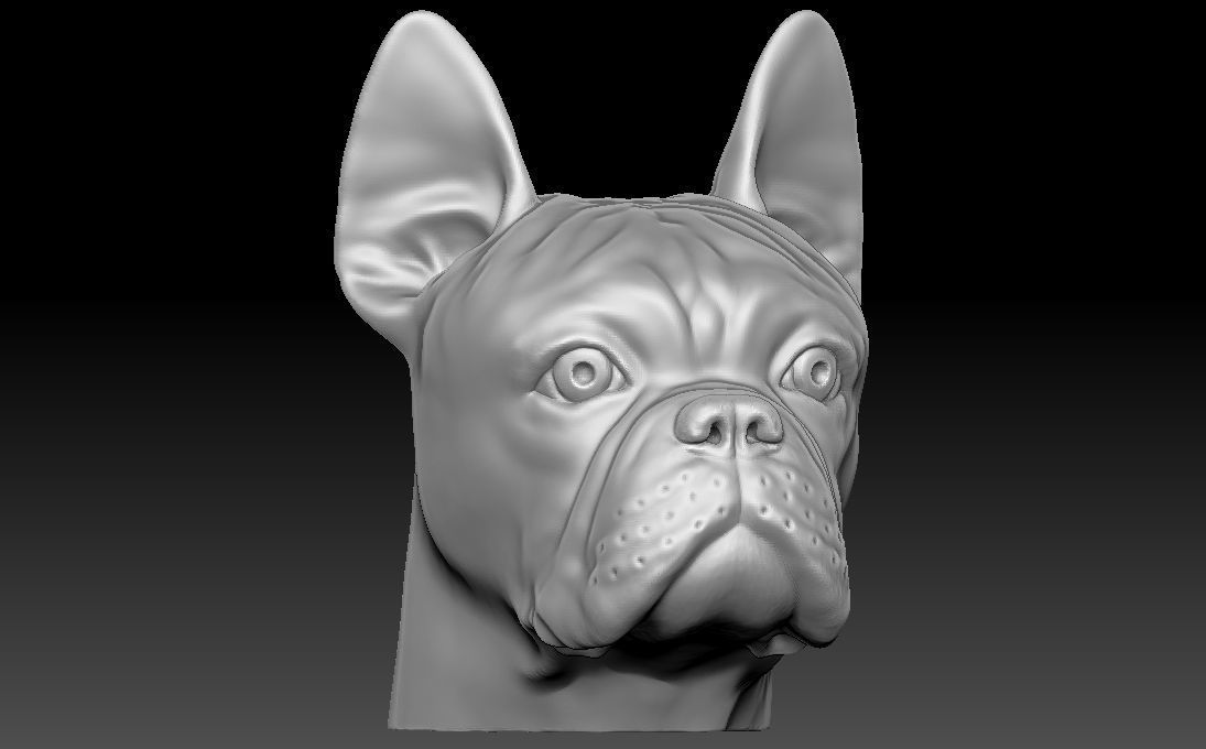 French Bulldog head for 3D printing 3D print model_5