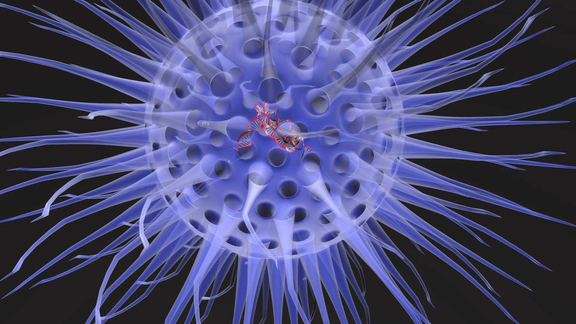 Virus animated with DNA detailed 3D model_7