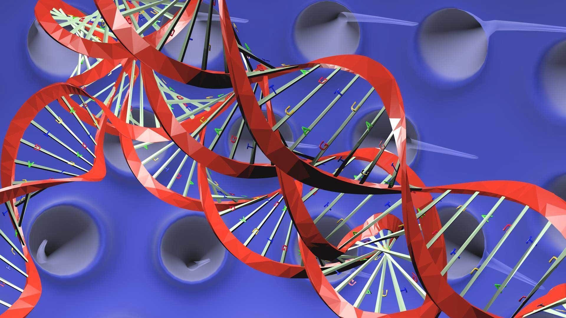 Virus animated with DNA detailed 3D model_11