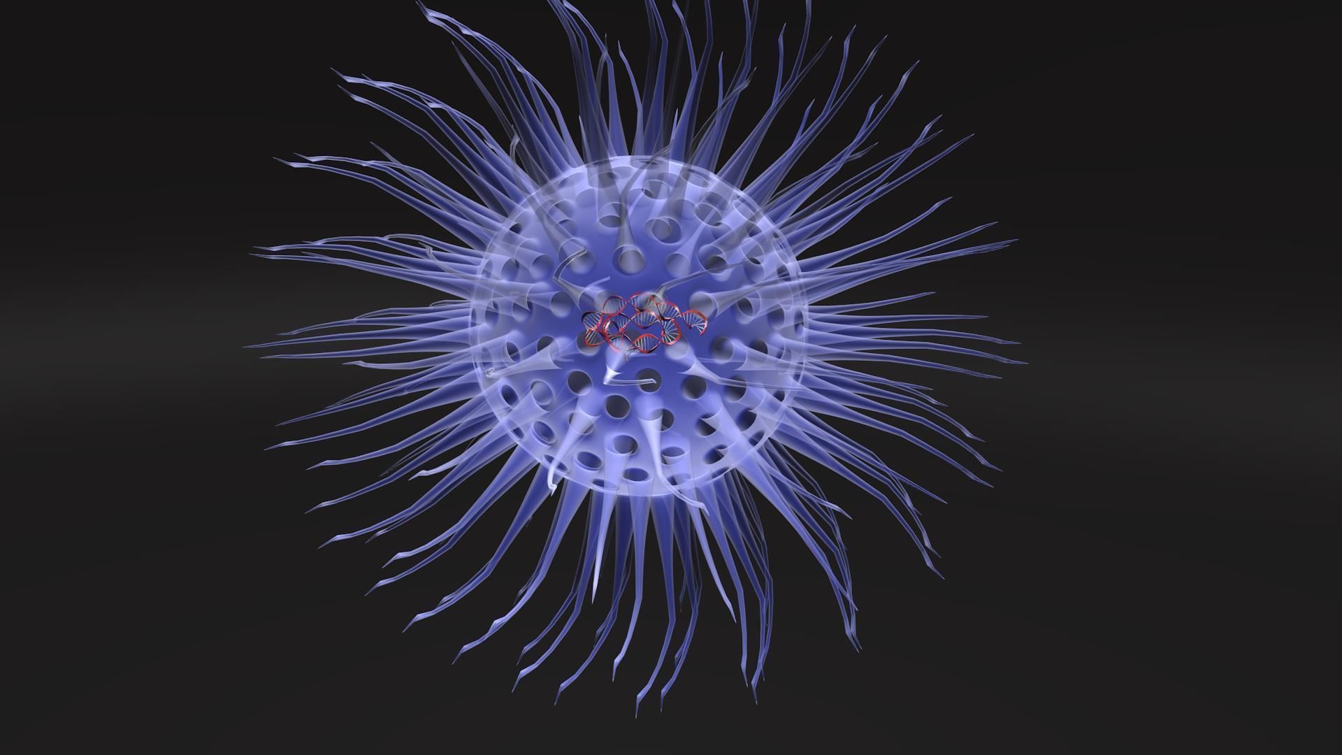 Virus animated with DNA detailed 3D model_5