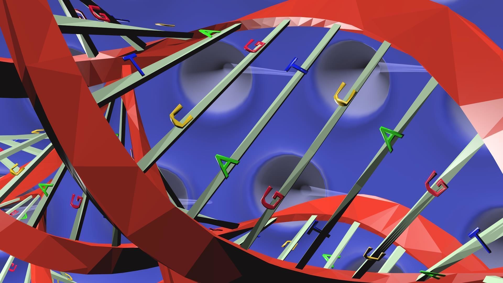 Virus animated with DNA detailed 3D model_12