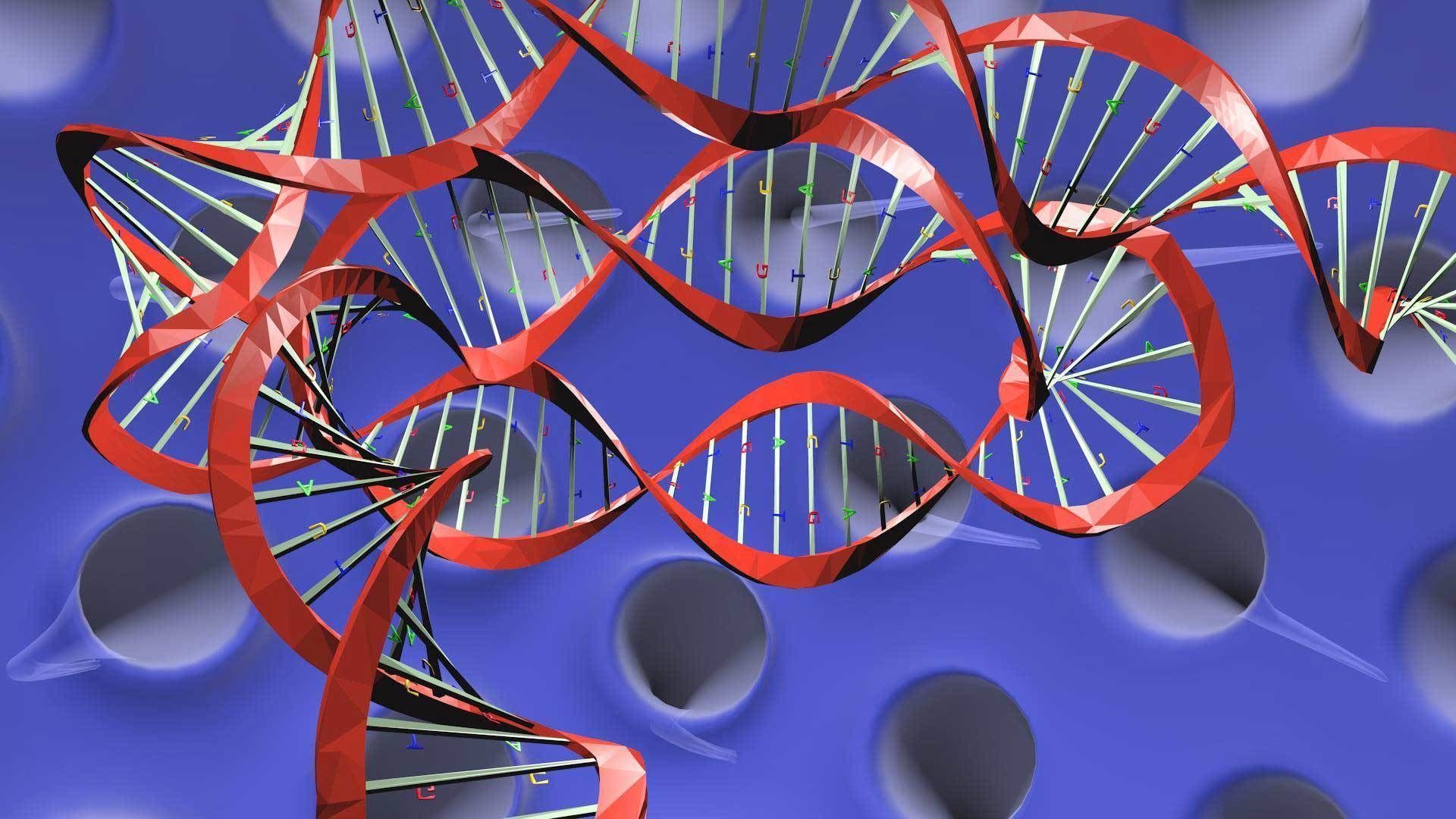 Virus animated with DNA detailed 3D model_3