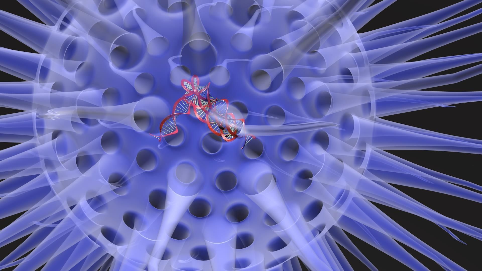 Virus animated with DNA detailed 3D model_8