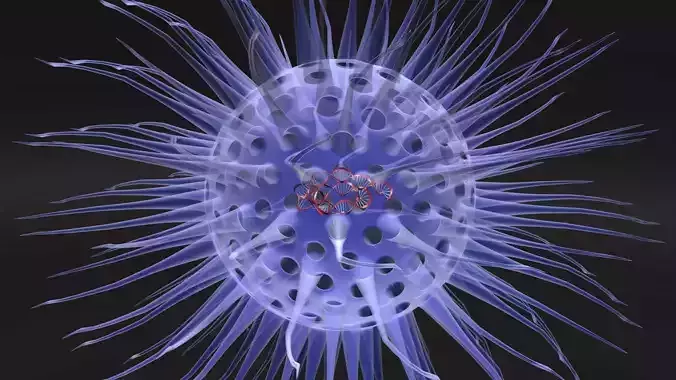 Virus animated with DNA detailed