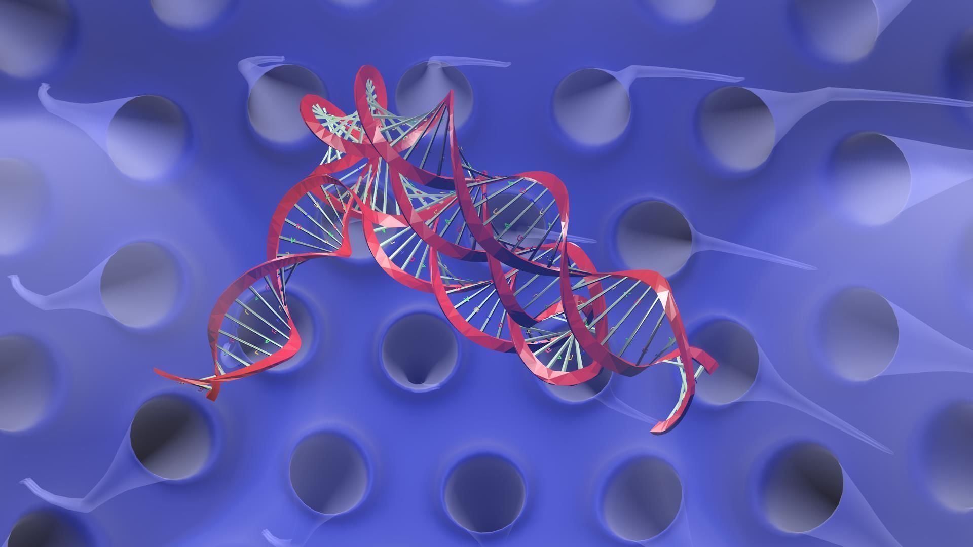 Virus animated with DNA detailed 3D model_9