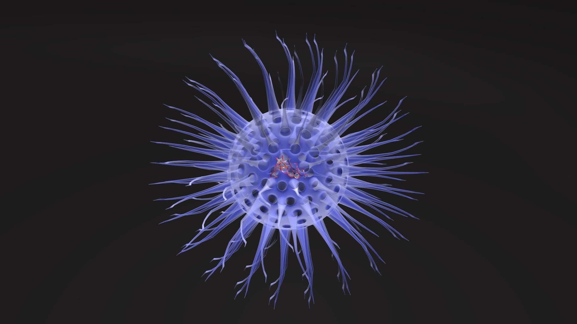 Virus animated with DNA detailed 3D model_6