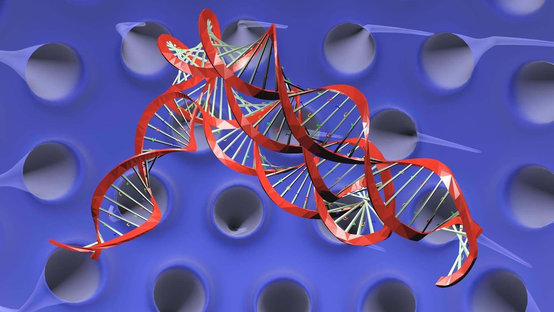 Virus animated with DNA detailed 3D model_10