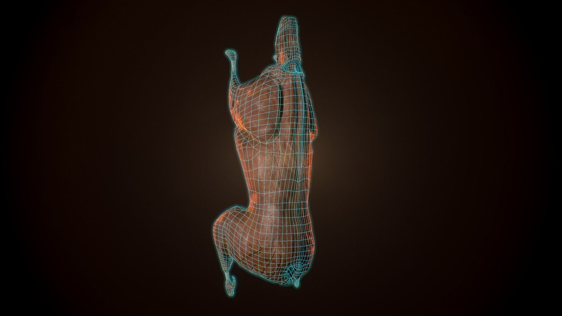 Roast Lamb Low-poly 3D model_8