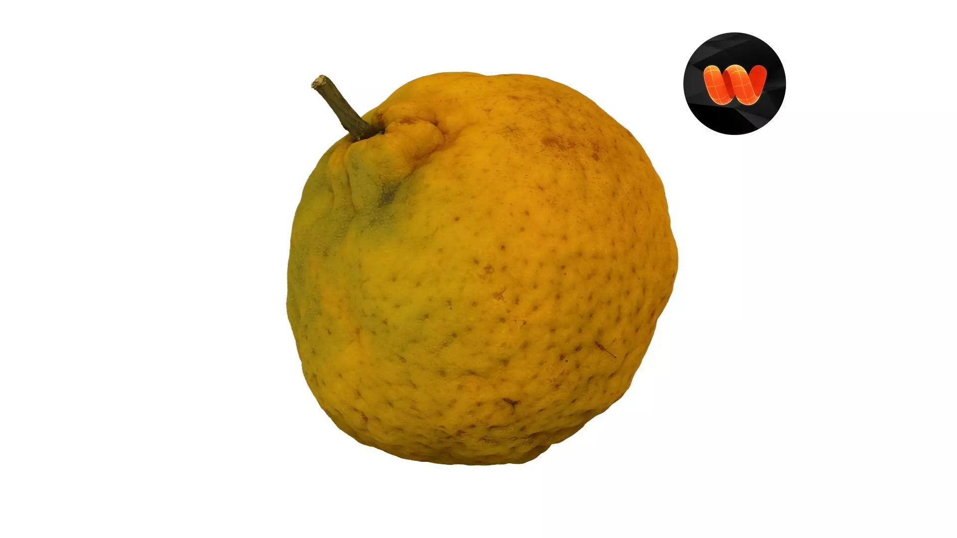 Tangerine - Extreme Definition Scanned 3D model_0
