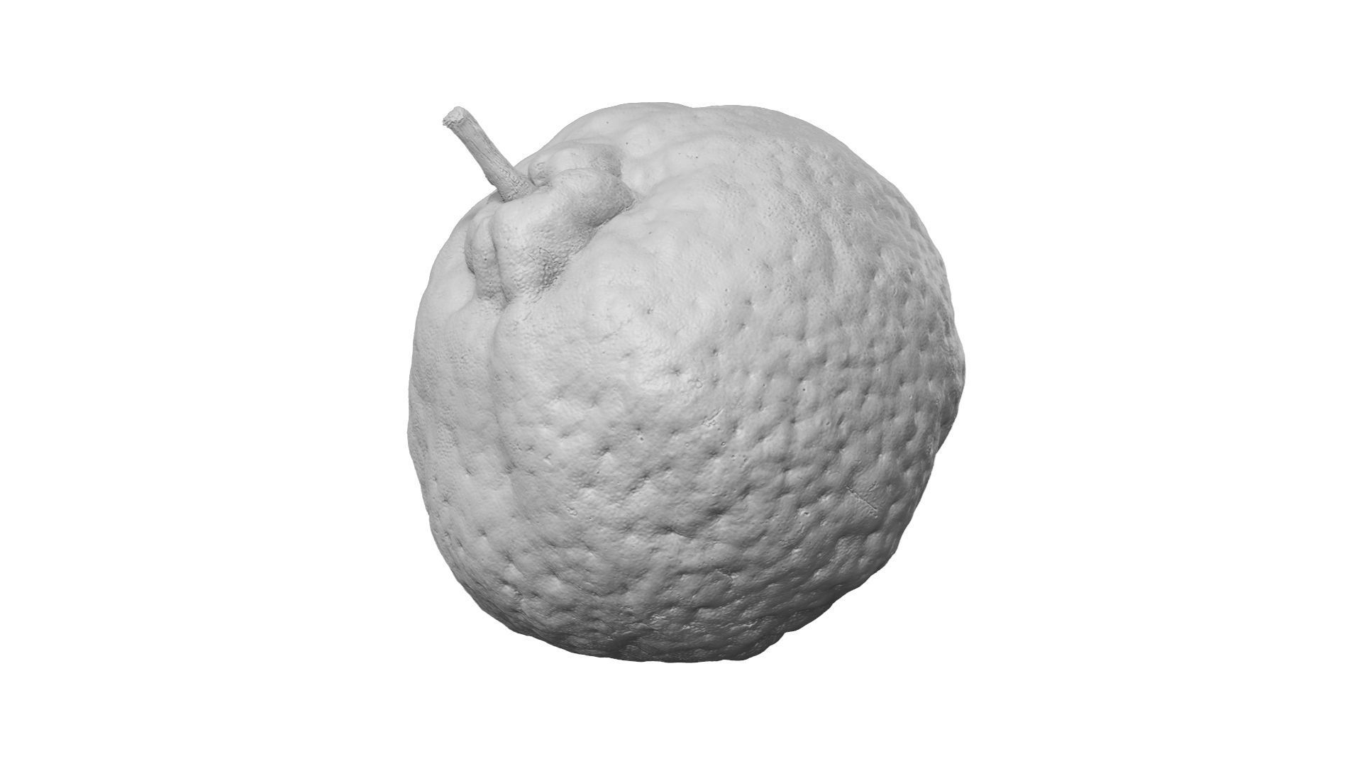 Tangerine - Extreme Definition Scanned 3D model_2