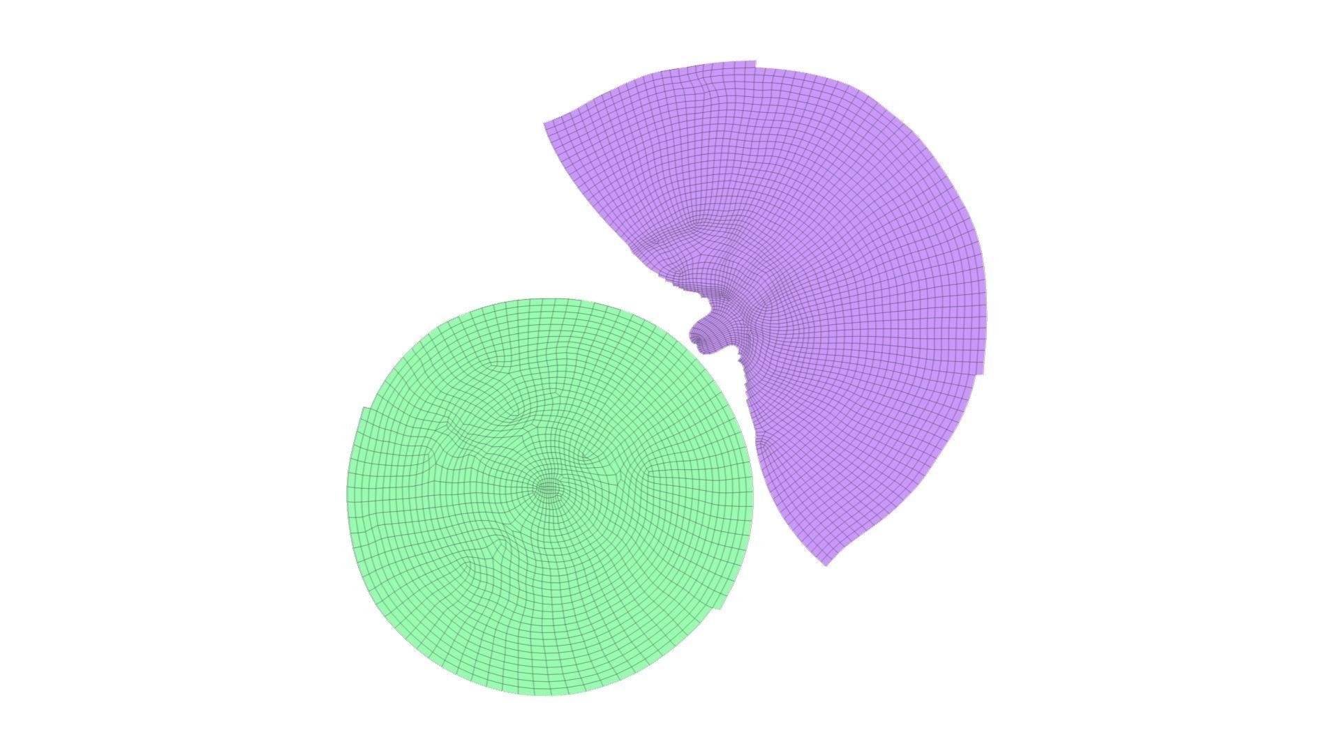 Tangerine - Extreme Definition Scanned 3D model_10