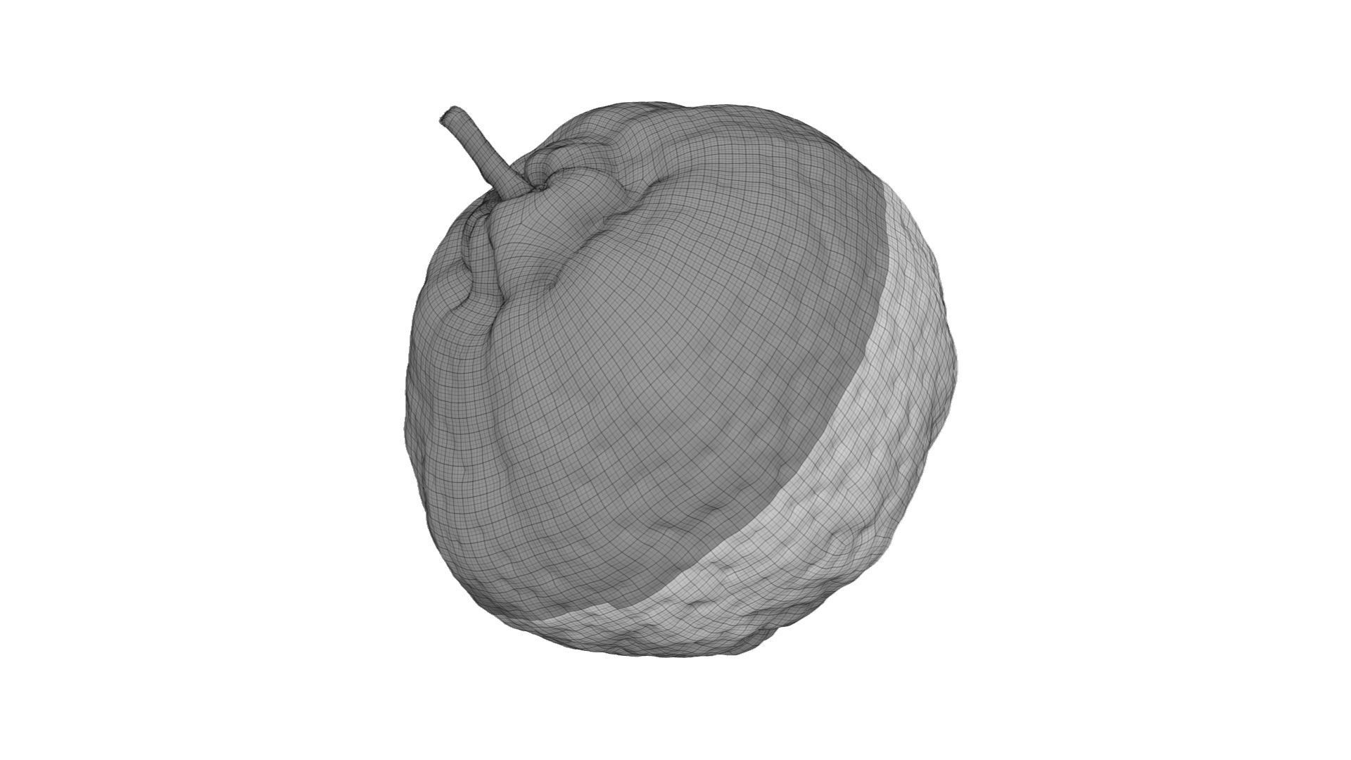 Tangerine - Extreme Definition Scanned 3D model_7