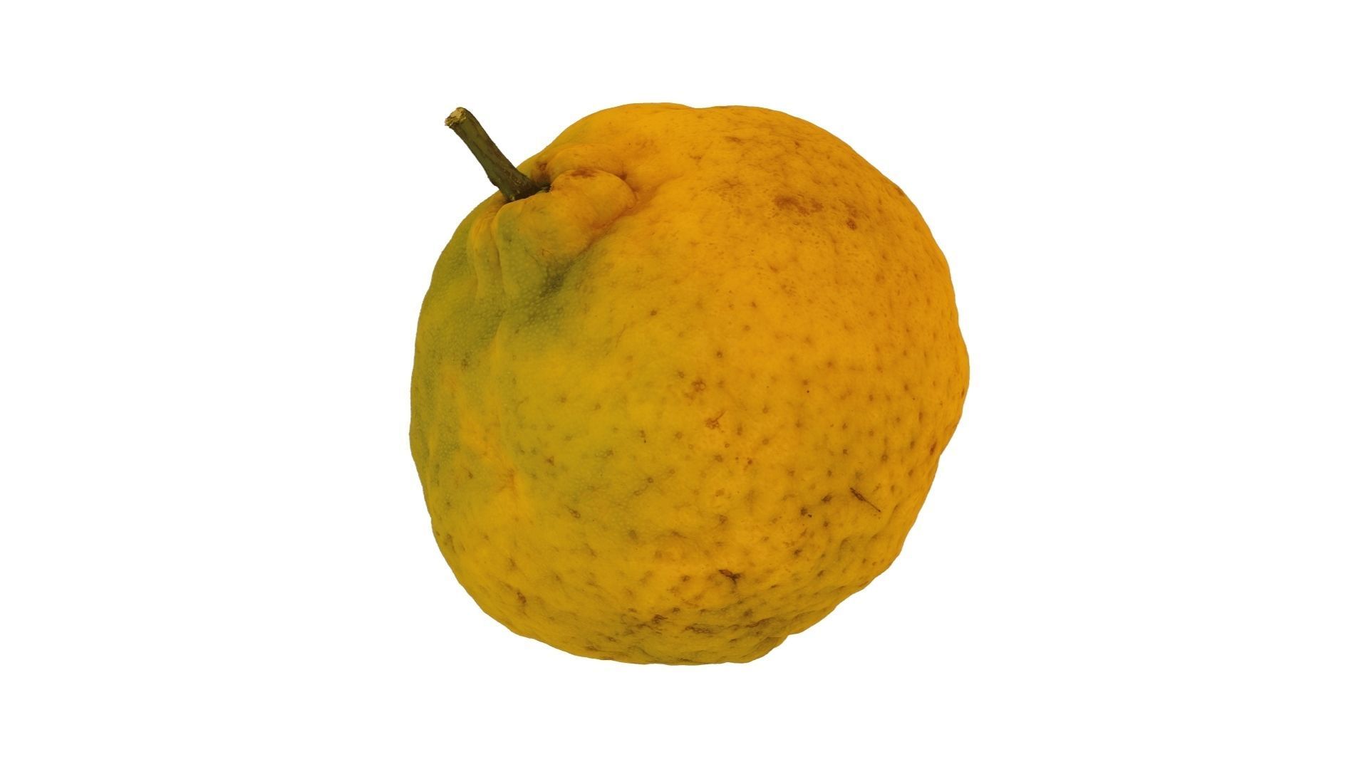 Tangerine - Extreme Definition Scanned 3D model_3