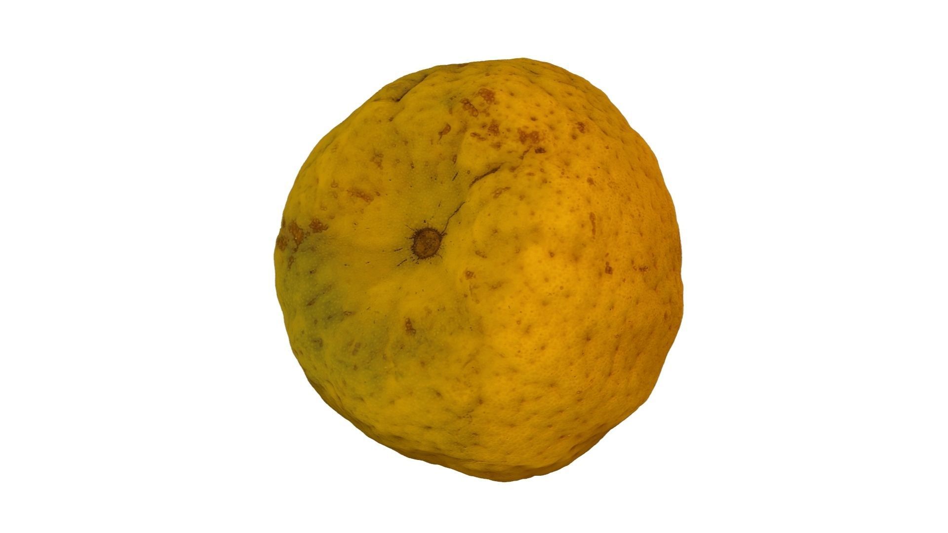Tangerine - Extreme Definition Scanned 3D model_8