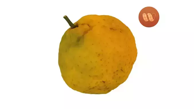 Tangerine - Real-Time Scanned