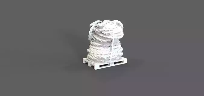 Rope on pallet  3D Scan 3D print model