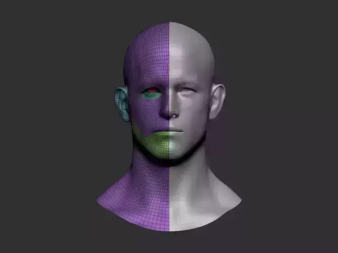 Head basemesh 2
