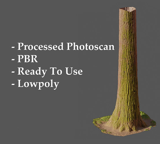Redwood Pine Conifer Trunk 3D PhotoScan Realistic  Free low-poly 3D model